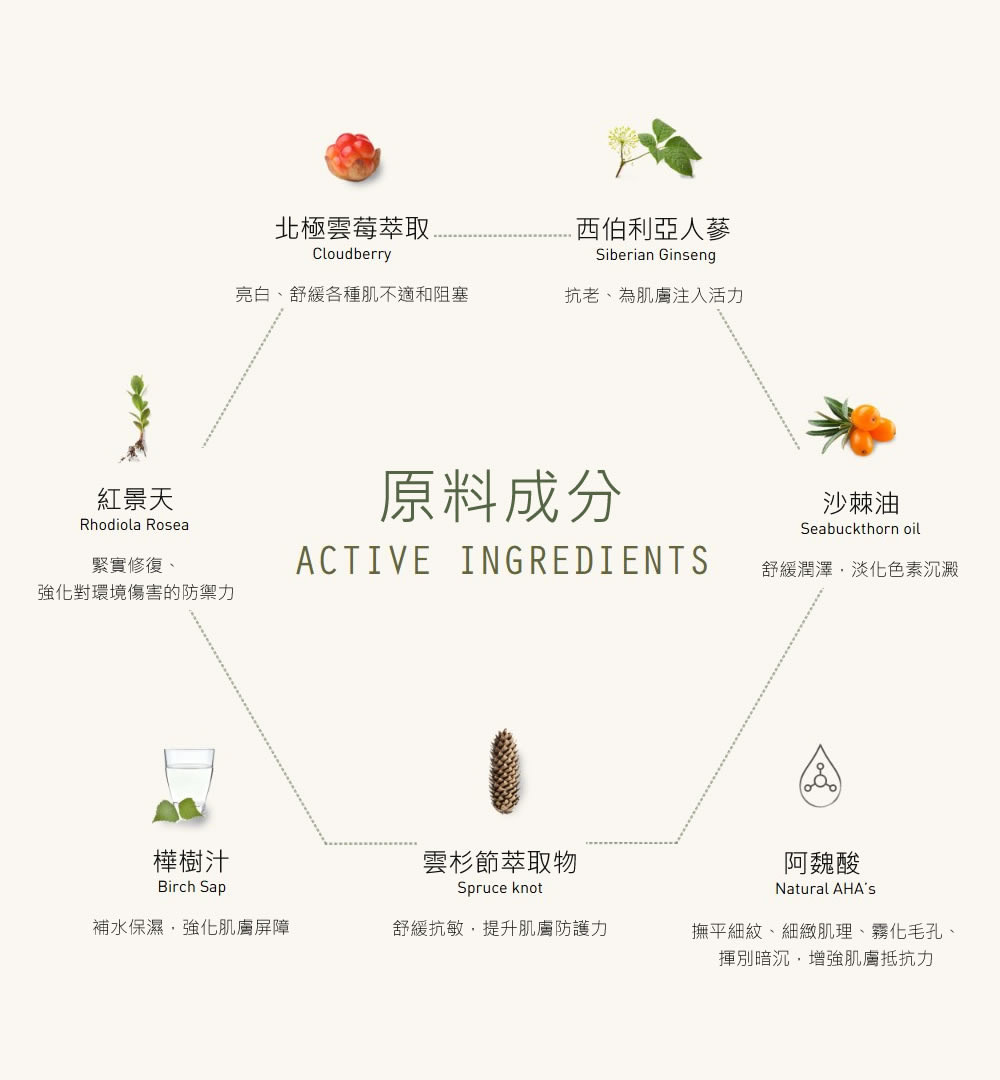 forest-spa-finland-nordic-adaptogen-serum