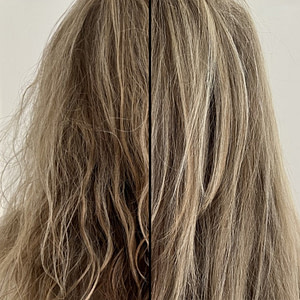 Maya Chia The Mane Agent case 4