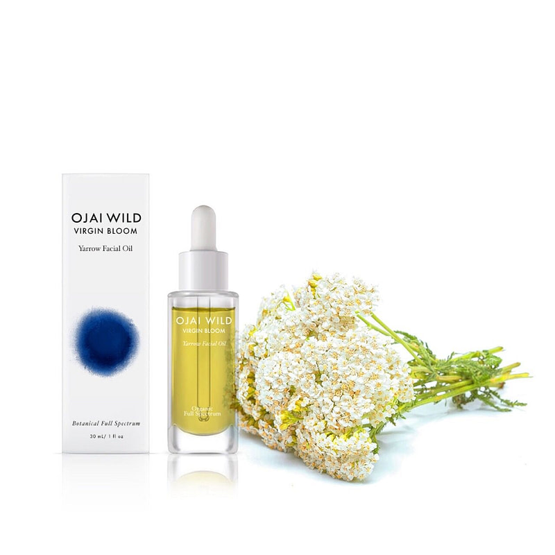 ojai wild virgin bloom yarrow facial oil e1678096642115