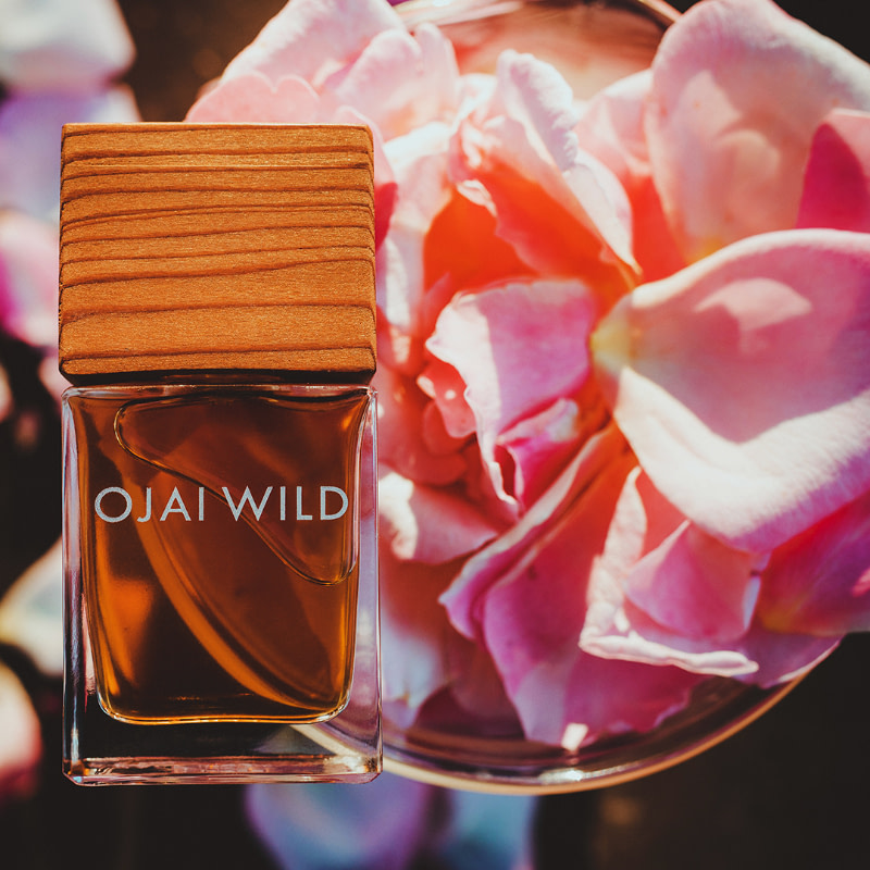 ojai wild rose love