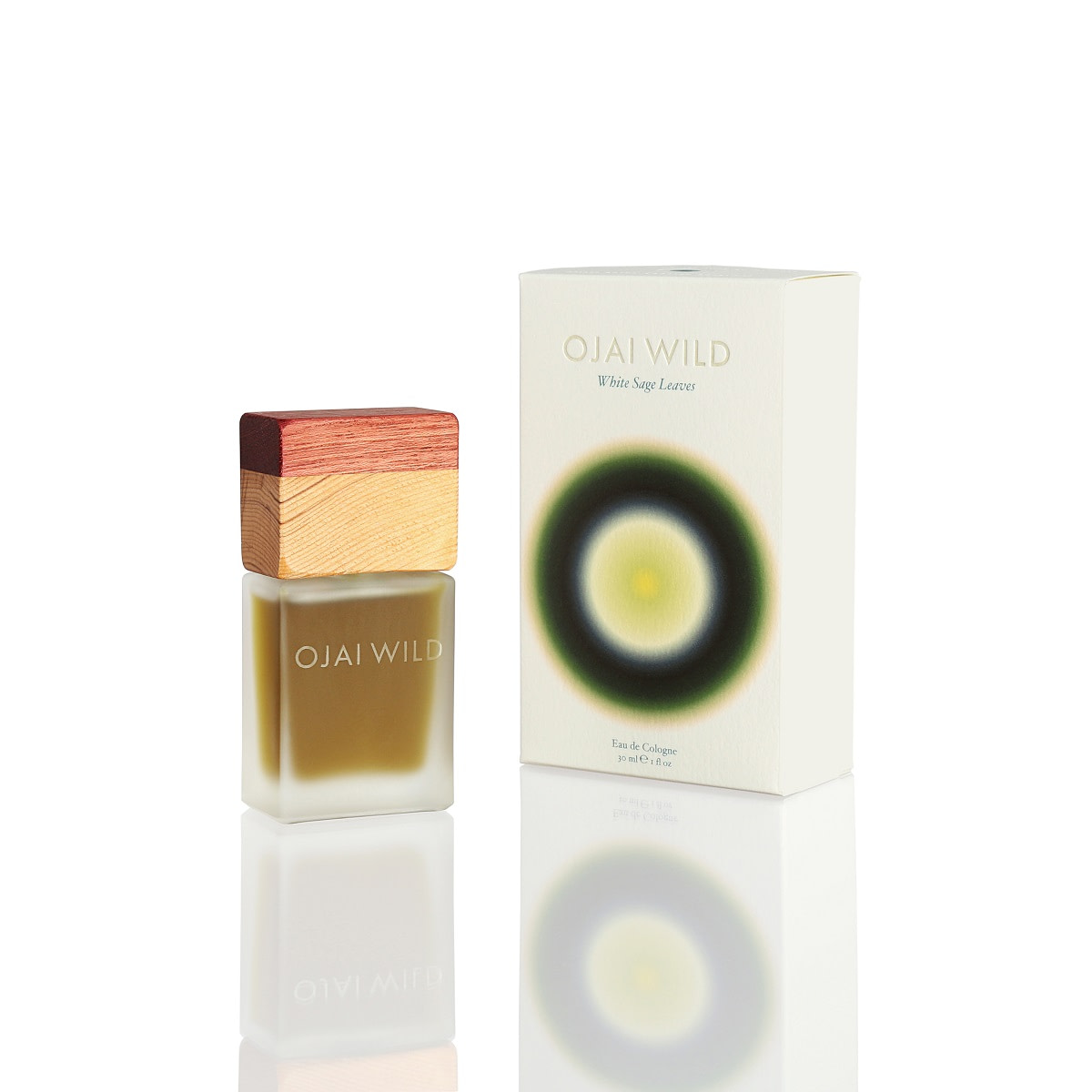 White Sage Leaves White Sage Leaves