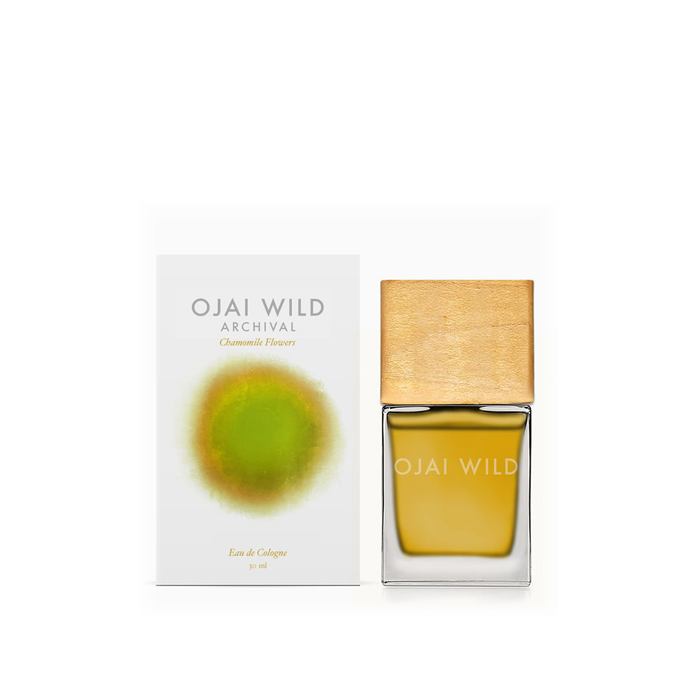 ojai-wild-chamomile-flowers-30ml-1000 ojai wild chamomile flowers 30ml 1000