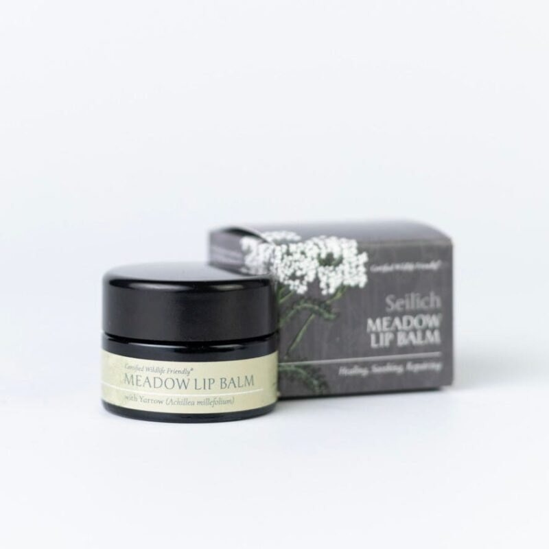 銀扇草野花癒唇凍