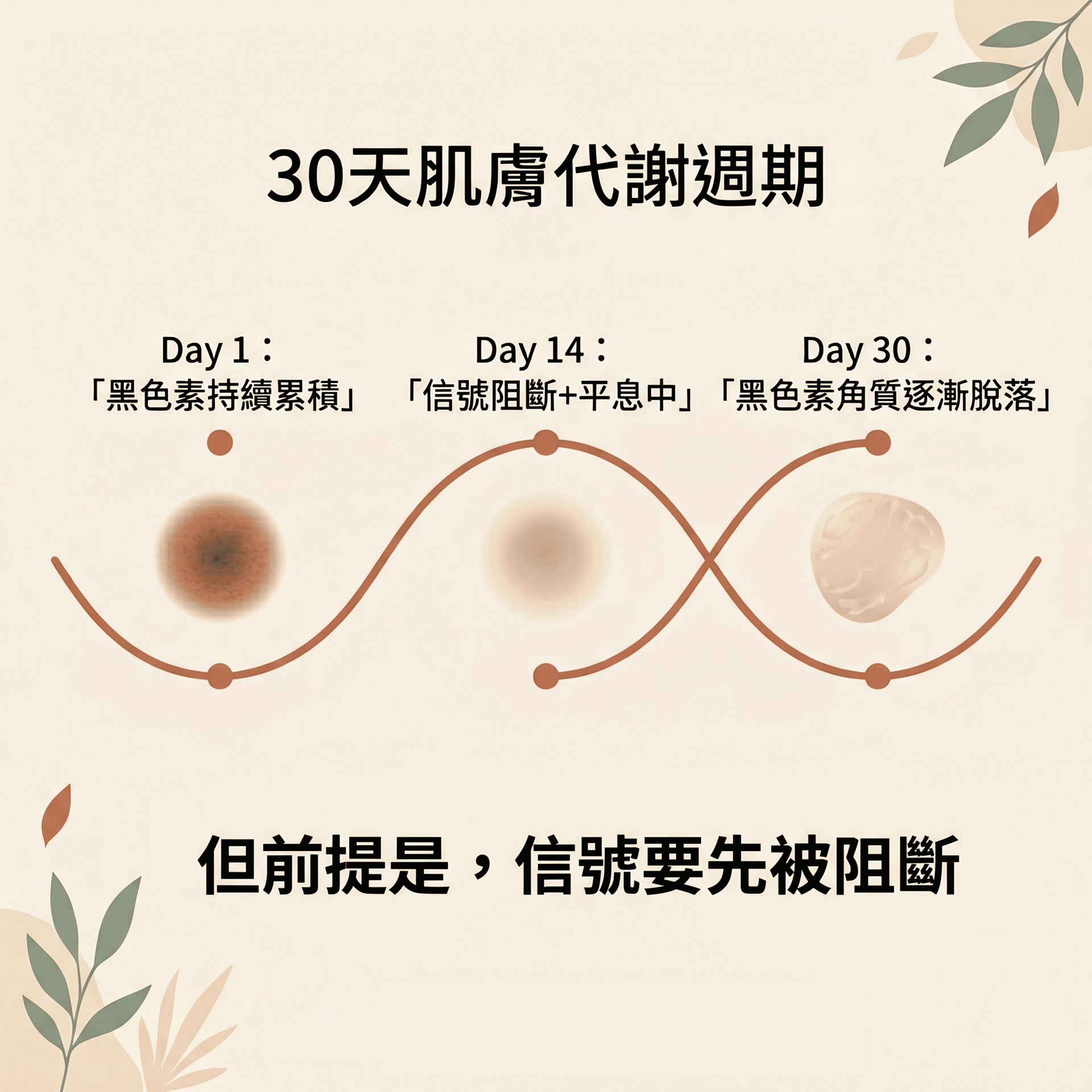 黑斑廣告圖 (1) 黑斑廣告圖 1